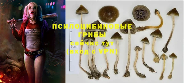 бутик Аркадак