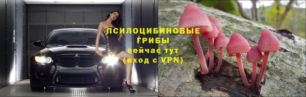 хмурый Арсеньев