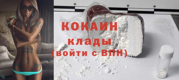 хмурый Арсеньев