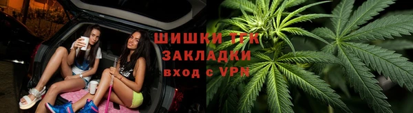 хмурый Арсеньев