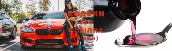 хмурый Арсеньев