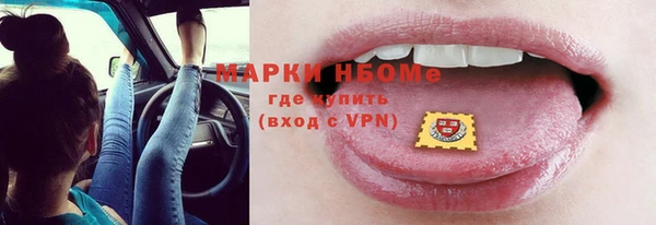 хмурый Арсеньев