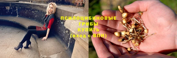 хмурый Арсеньев